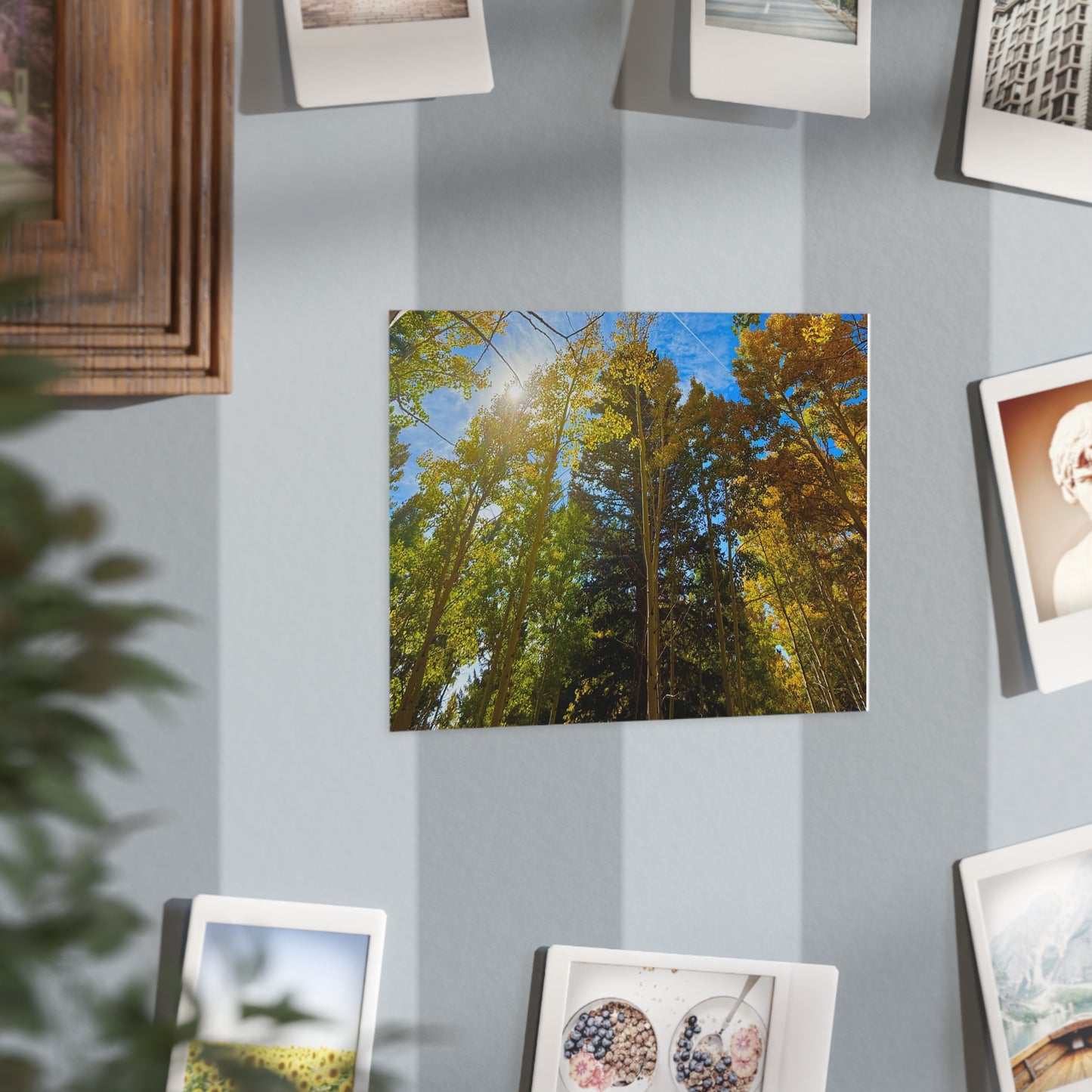 Aspen Trees Unframed Prints, Nature Wall Art, Rustic Home Decor, Eco-Friendly Gift, Cozy Living Room, Fall Decor